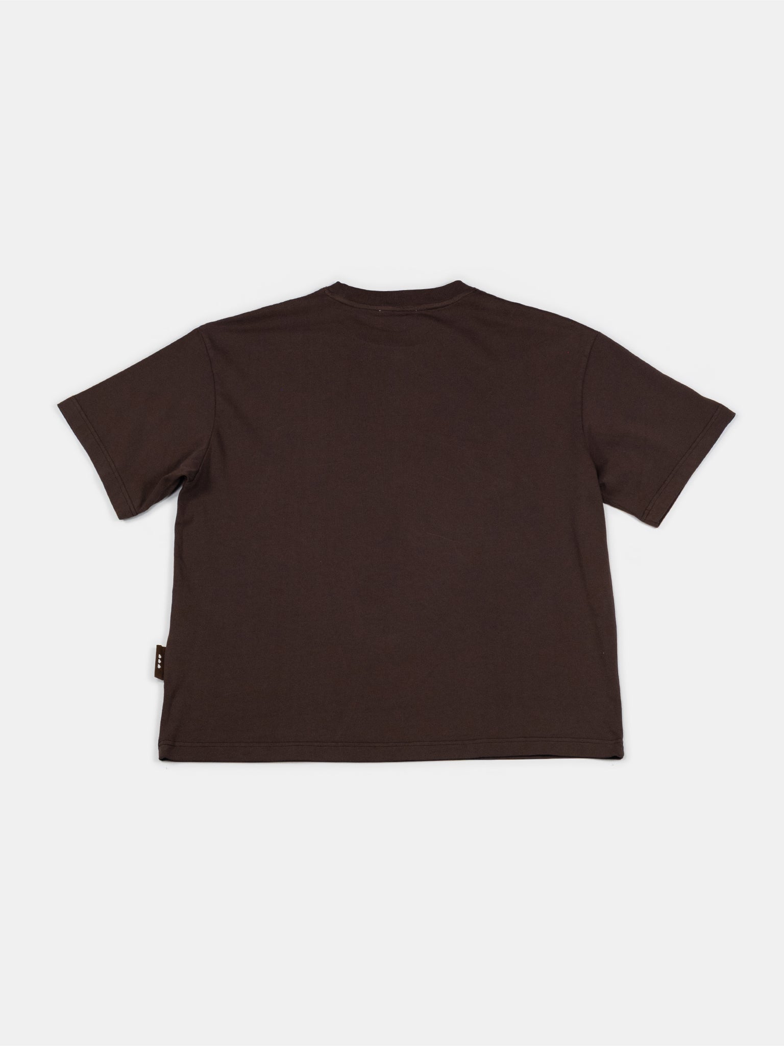Grafic T-shirt Normalize Bromance